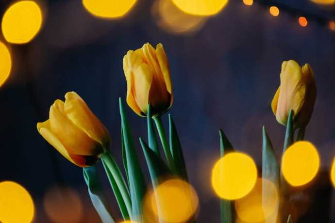 General Knowledge Quiz (Round 274)