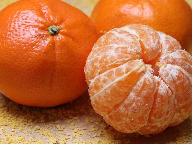 General Knowledge Quiz (Round 302)